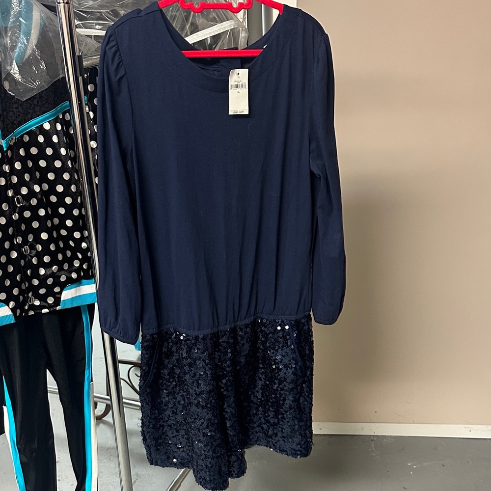 GAP Navy Blue Long Sleeve Dress
